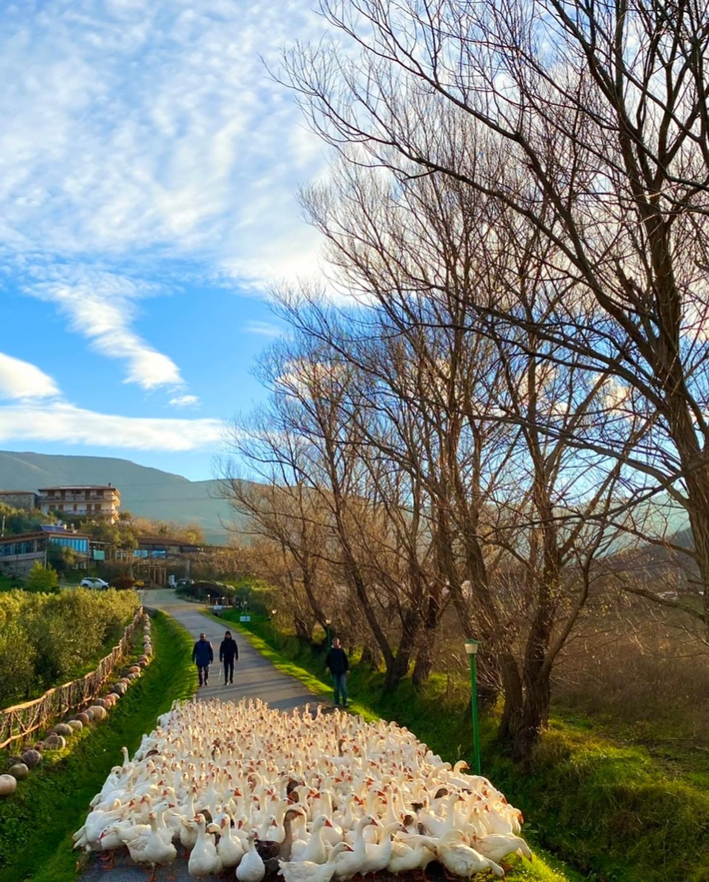 Day 10 Prizren – Mrizi i Zanave Agro Tourism – Shkoder (Albania)