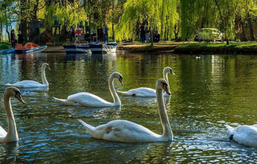 Explore Southeastern Albania in two days: tour of Korça and Pogradec