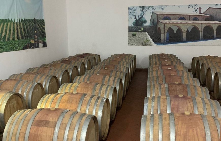 Wine tasting & vineyards escape day tour from Tirana