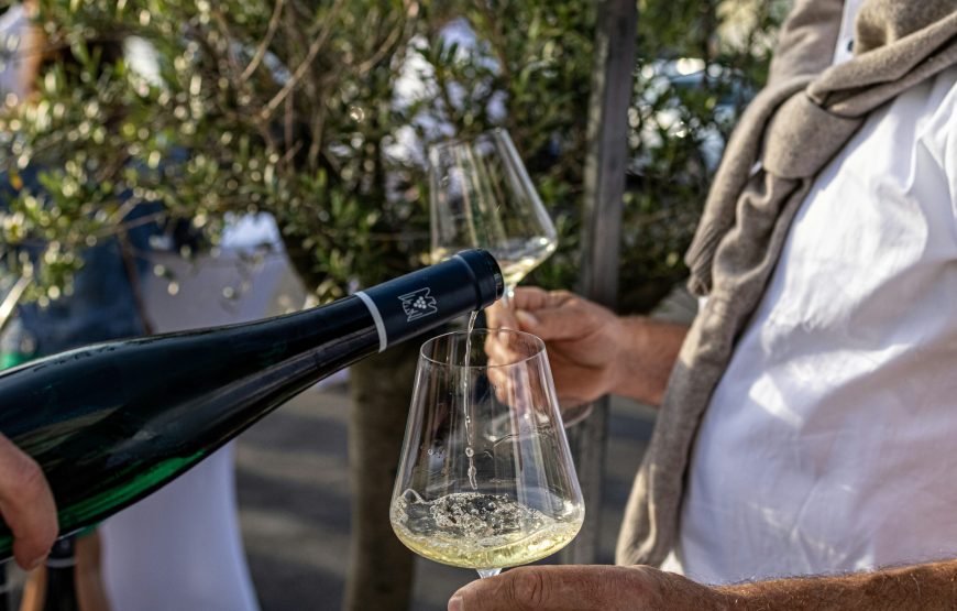 Wine Tasting & Vineyards Escape near Tirana