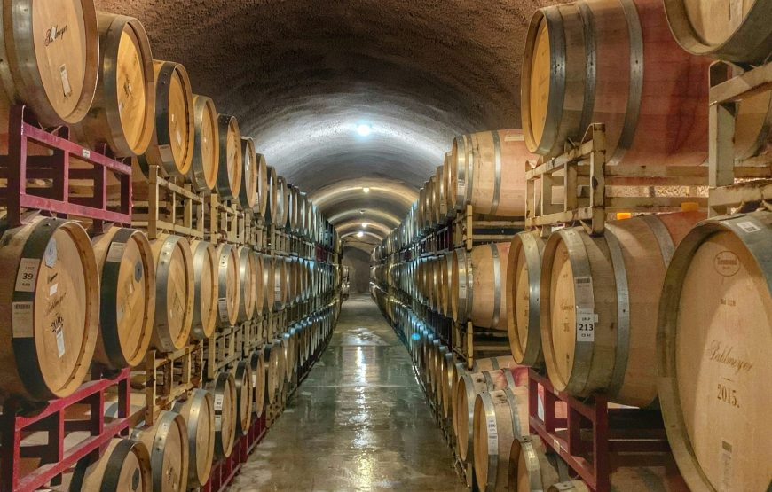 Wine Tasting & Vineyards Escape near Tirana