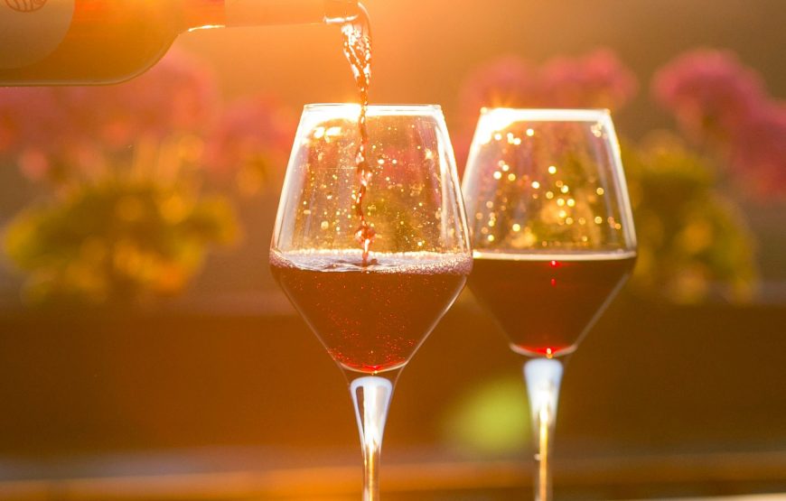 Wine Tasting & Vineyards Escape near Tirana