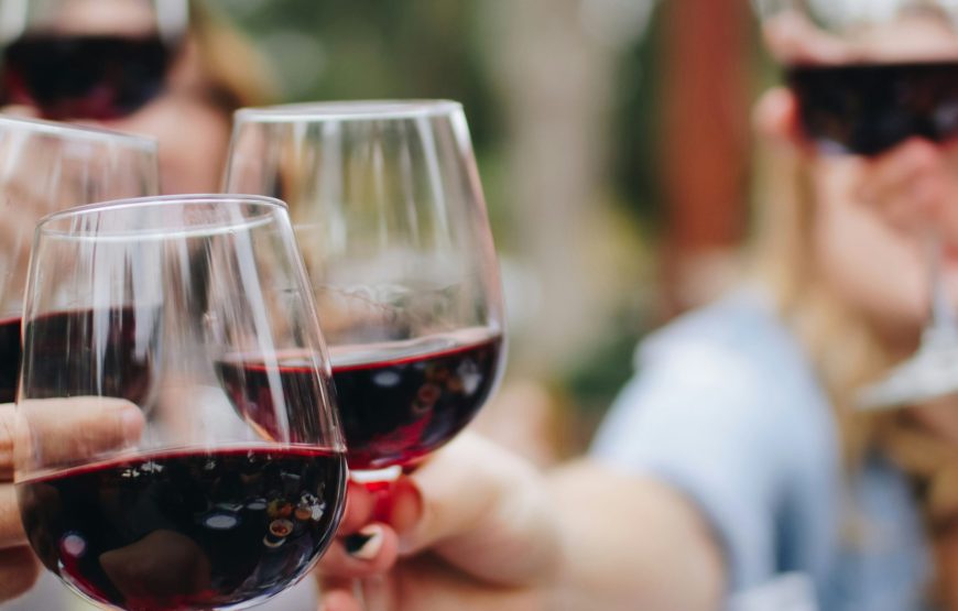 Wine Tasting & Vineyards Escape near Tirana