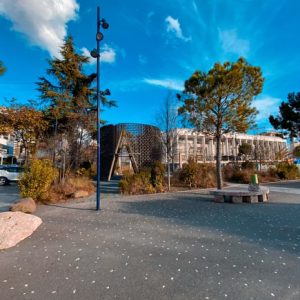 Tirana Skanderbeg Square Tours Culture History Choose Balkans