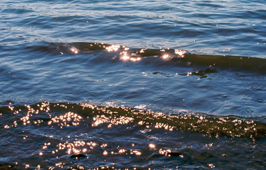 From Tirana; Semi – Private Day Trip to Berat & Belsh Lake