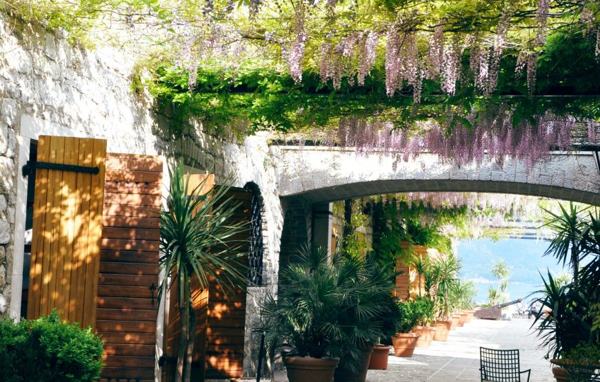 Semi-Private Day Tour of Montenegro: Budva & Kotor from Tirana