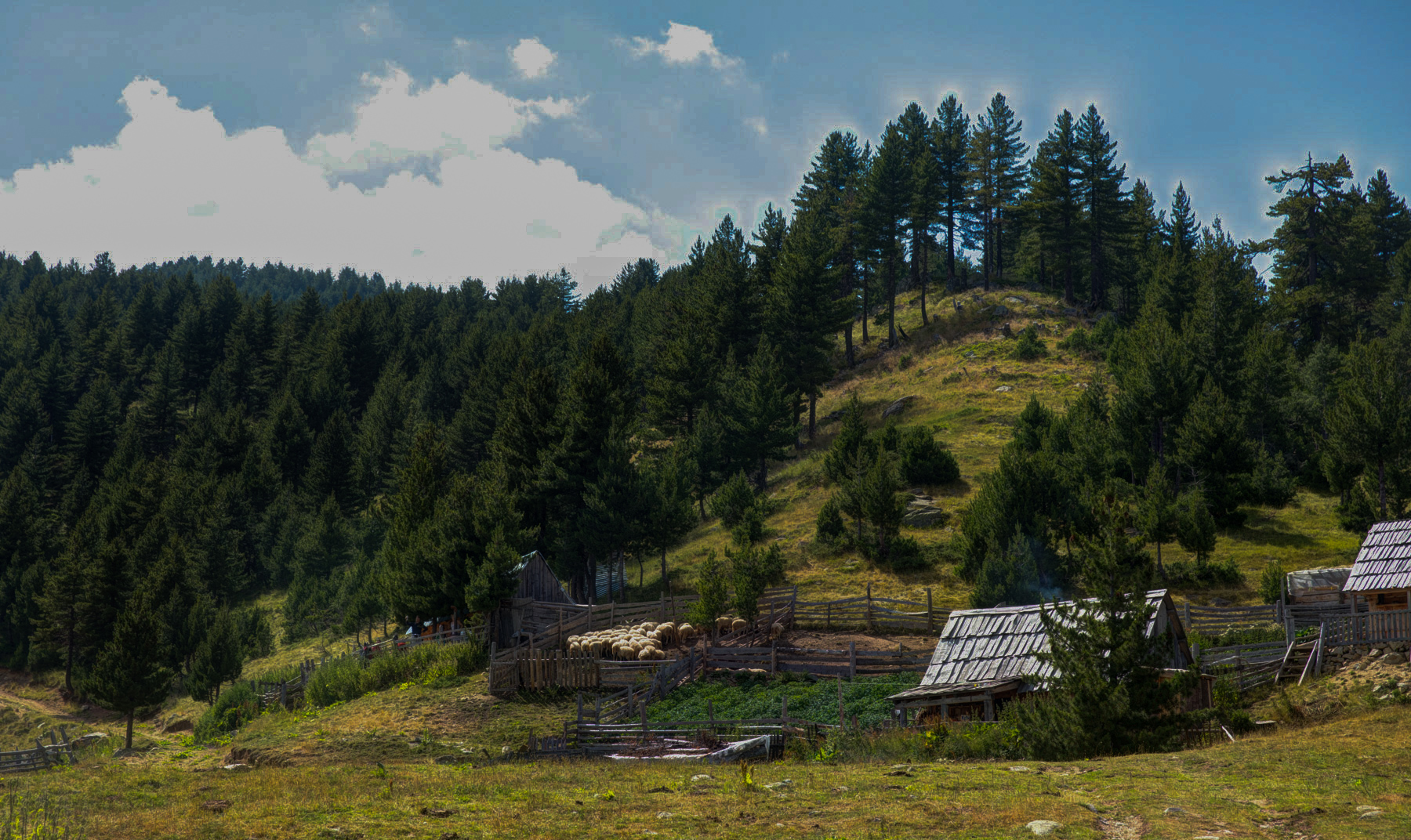 Day 2 Theth – Grunas Waterfall – Theth 