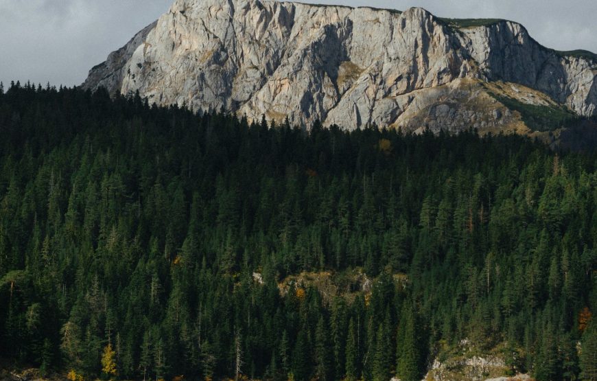 Small Group Tour; Highlights of Montenegro in 8 Days