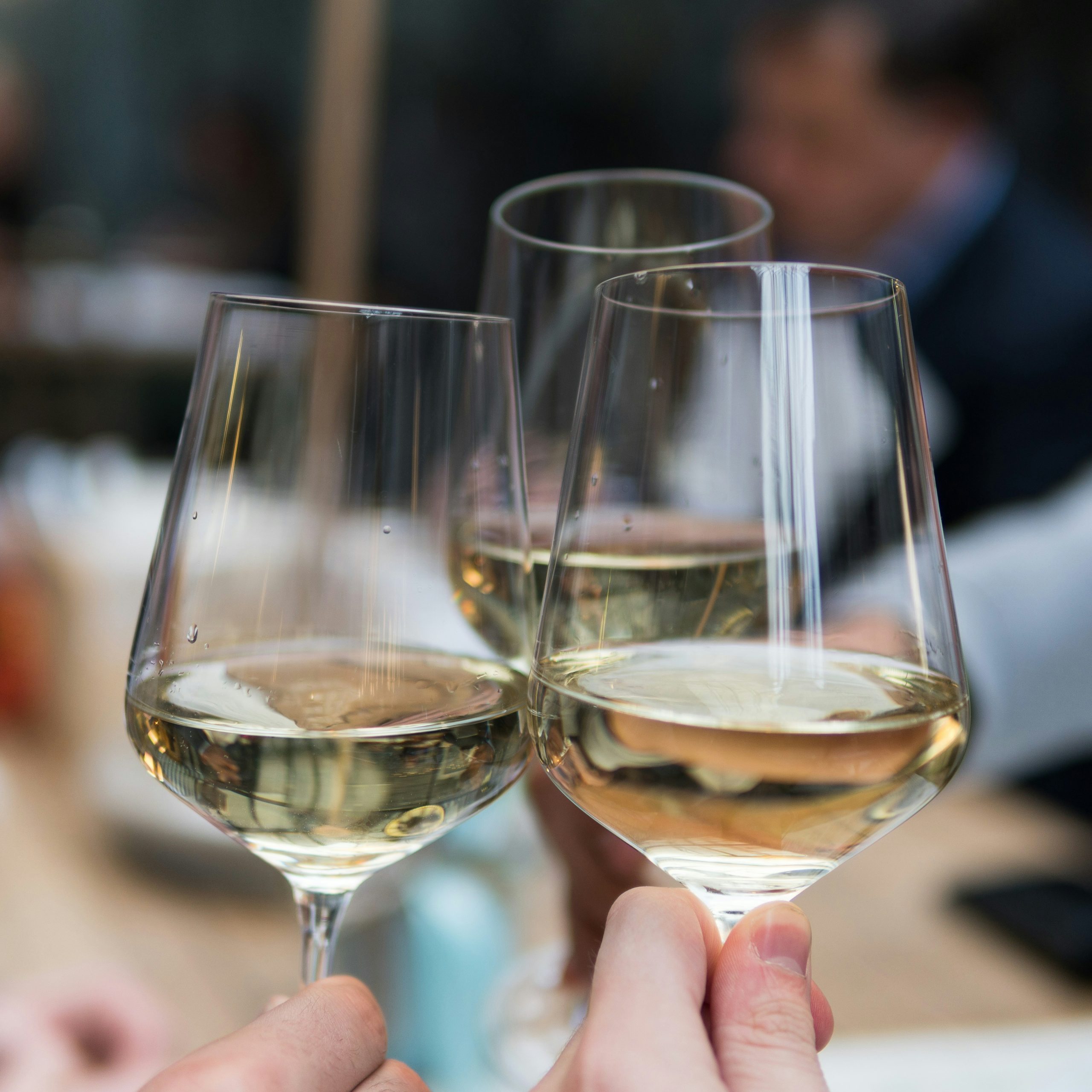 Tirana: Wine Tasting Tour 