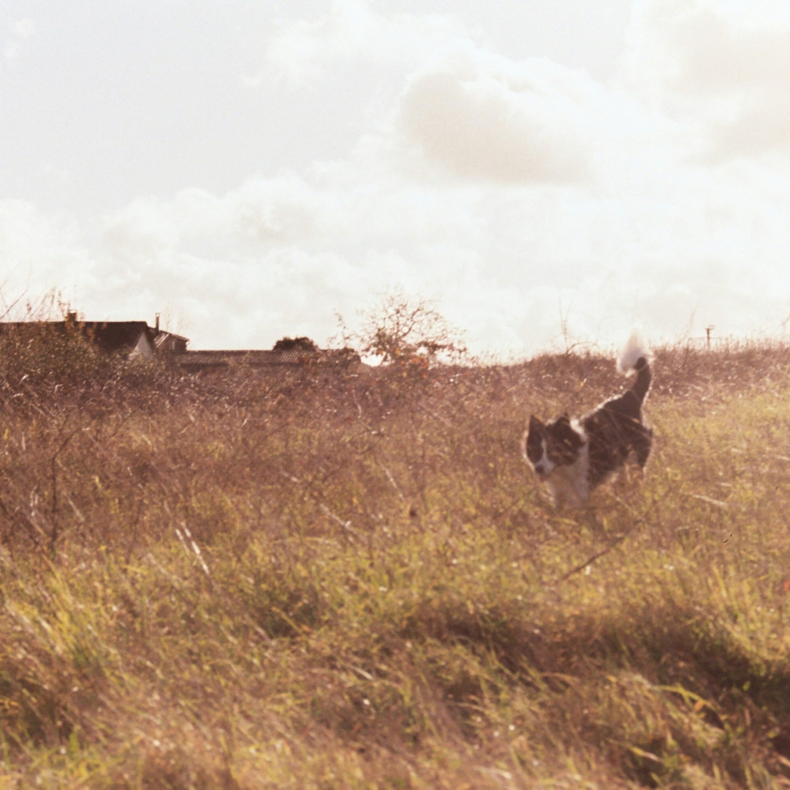 Day 2 Sarajevo – Jajce Village 
