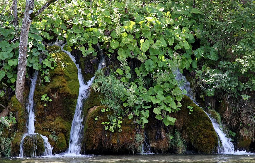 Slovenia, Italy & Croatia; Private Tour with Dedicated Guide & Car