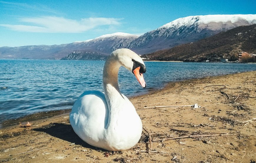 Highlights of Albania from North to South in 14 days