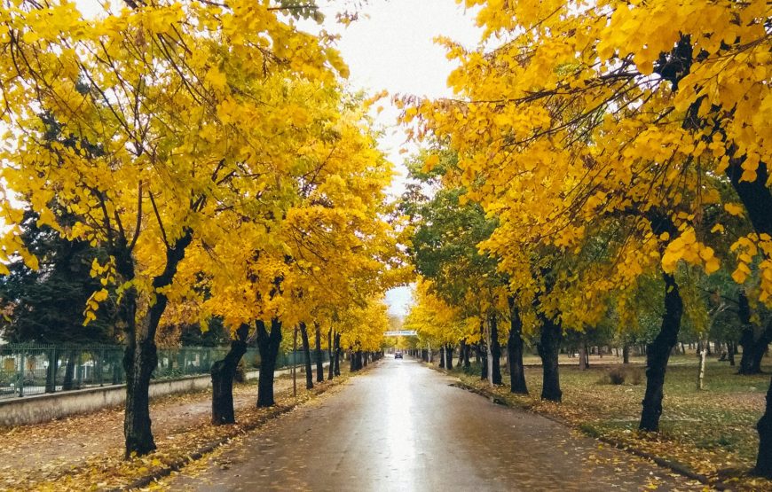 Highlights of Albania from North to South in 14 days